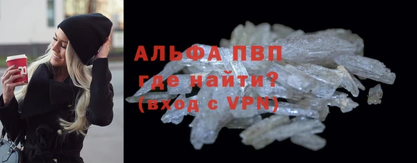 прущие грибы Пересвет