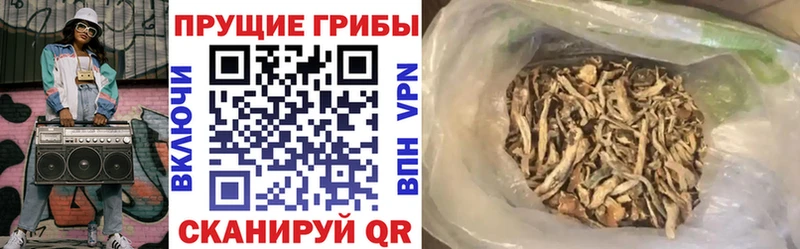 Псилоцибиновые грибы ЛСД  цены наркотик  Мыски 
